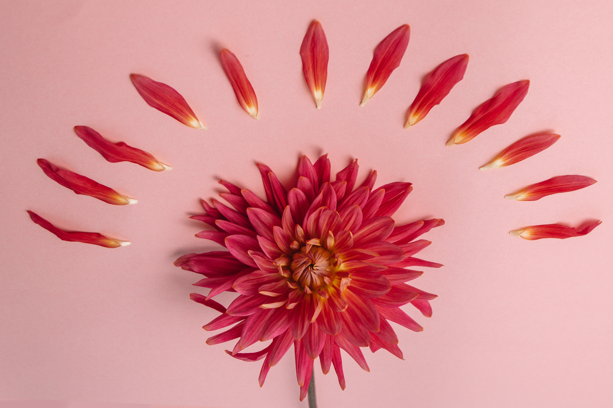 Wszystkie kobiety po 40 mają zaburzenia hormonalne? Na to wychodzi…